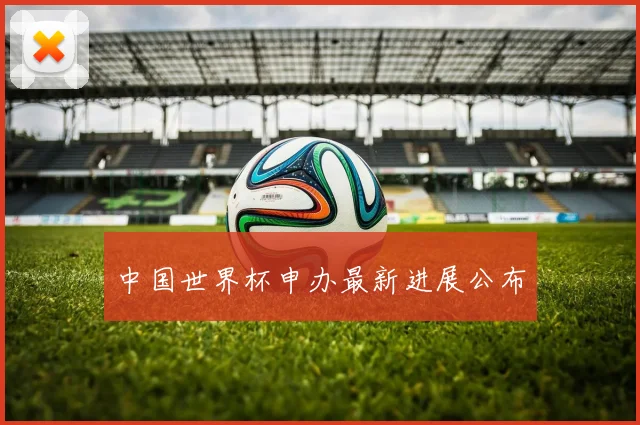 中国世界杯申办最新进展公布