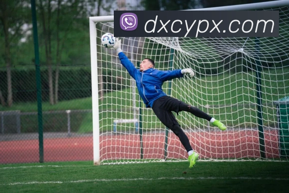 App 展示图